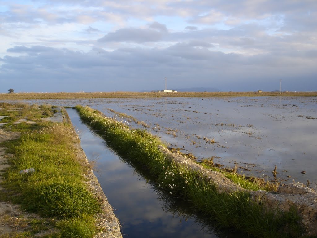 Rutas privadas Albufera - Experiencia de naturaleza en Valencia