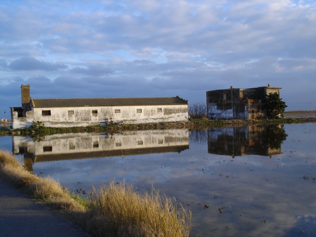 Devesa Albufera tour - Guía local Albufera
