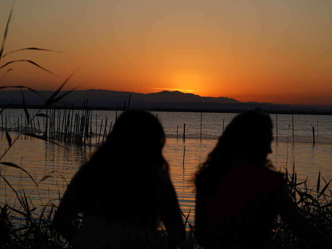 Albufera sunset tour
