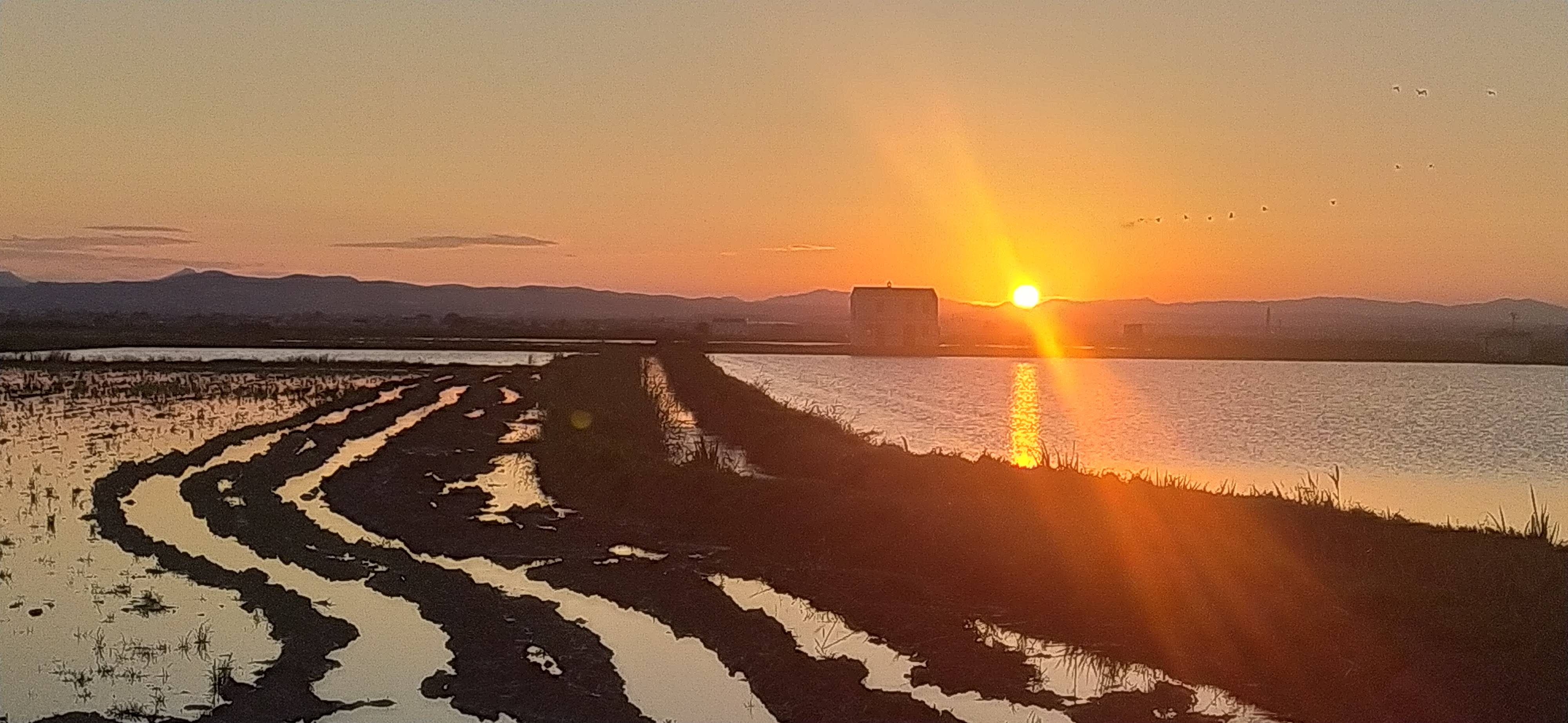 Birding La Albufera de Valencia